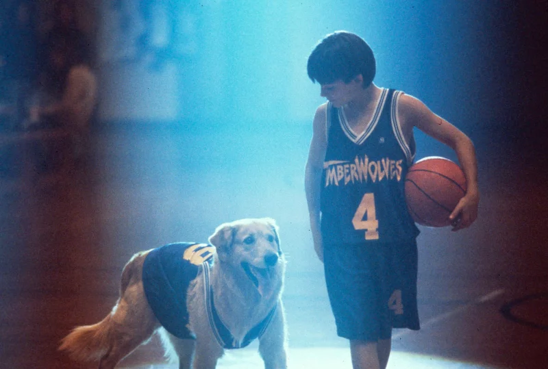 Missouri's redistricting drama renews focus on direct democracy … and 'Air Bud'